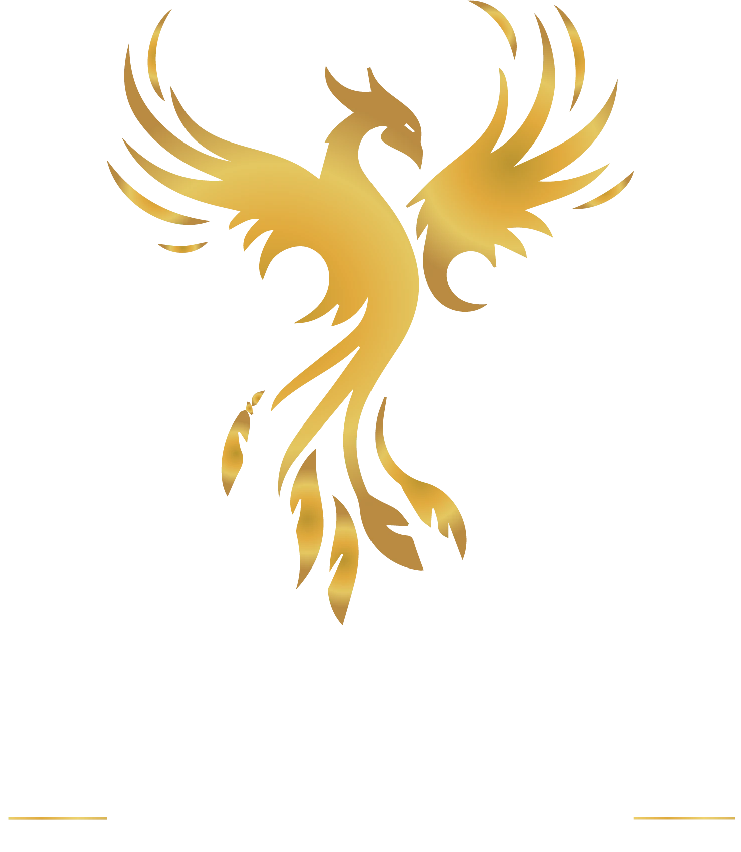 Logo Grupo Knight